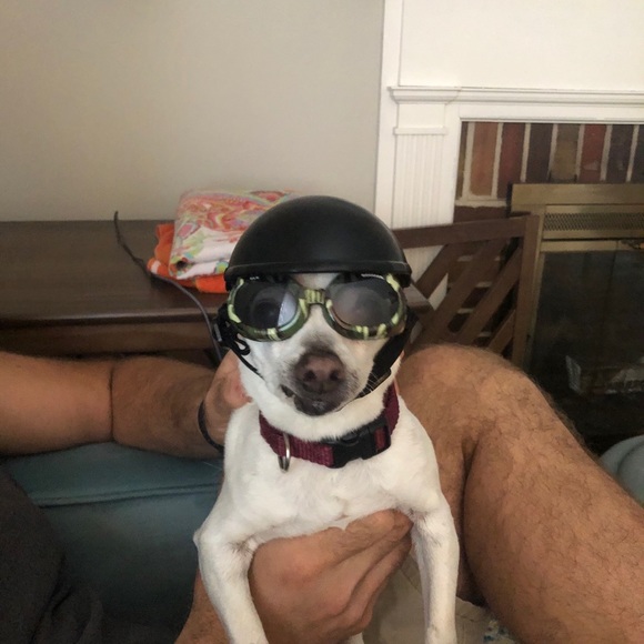 Meet your Posher, Kris - Picture 1 of 1